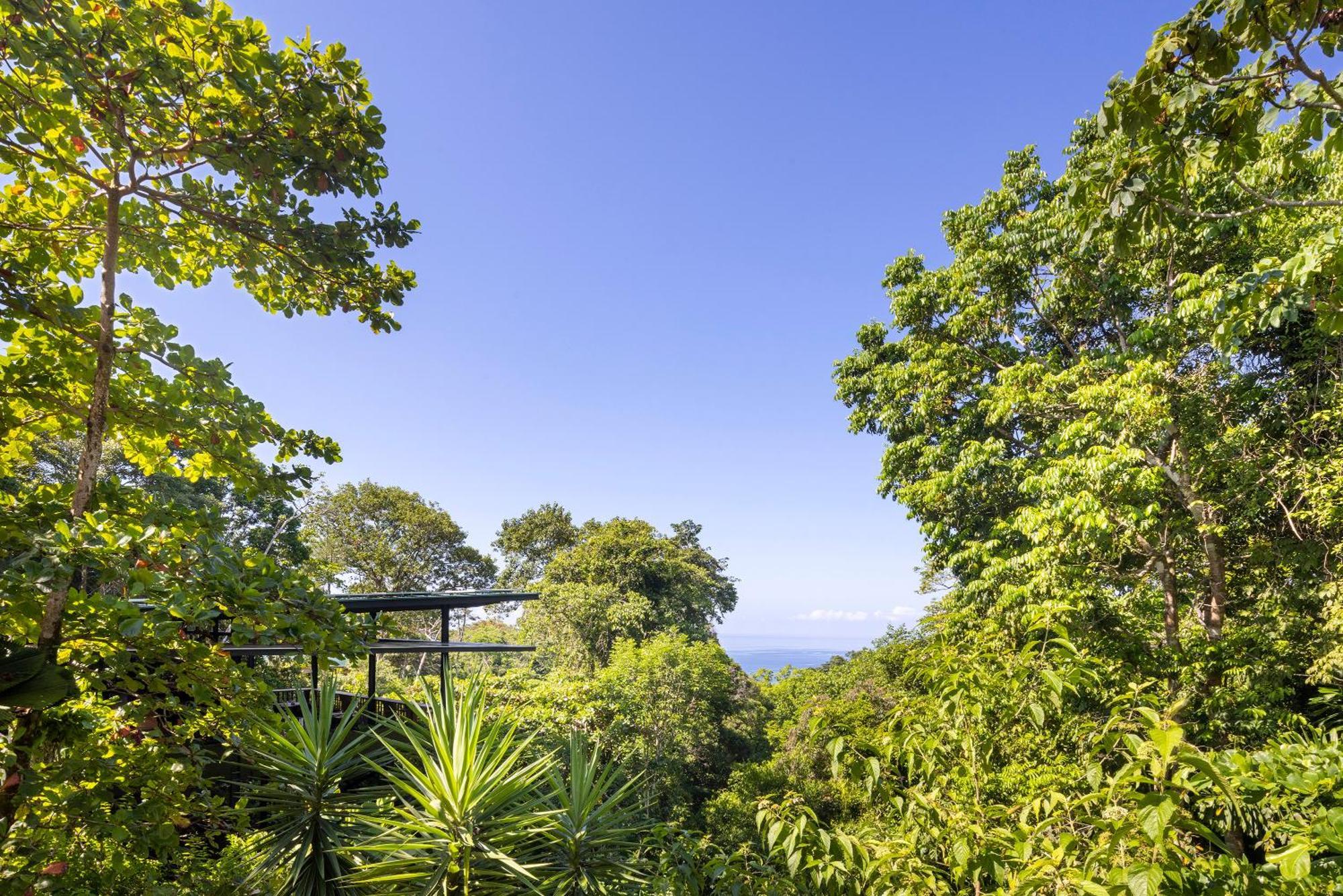 El Remanso Rainforest Lodge Puerto Jiménez المظهر الخارجي الصورة