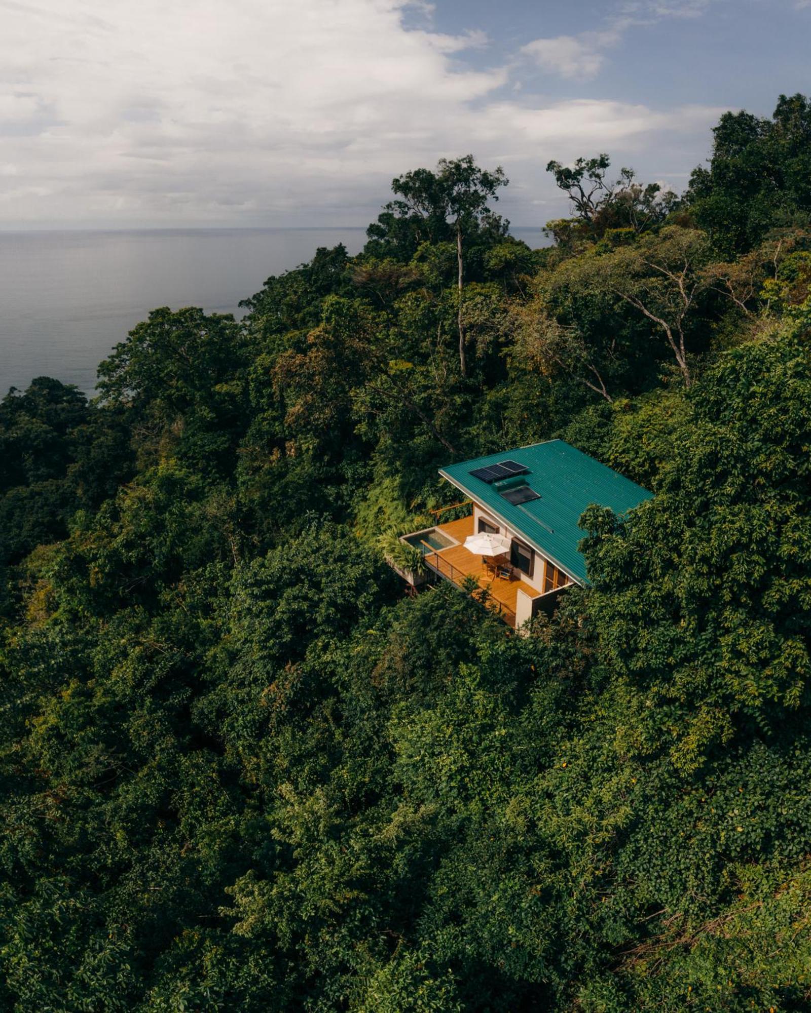 El Remanso Rainforest Lodge Puerto Jiménez المظهر الخارجي الصورة