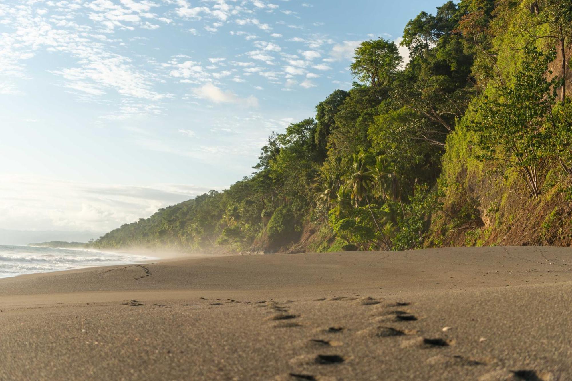 El Remanso Rainforest Lodge Puerto Jiménez المظهر الخارجي الصورة