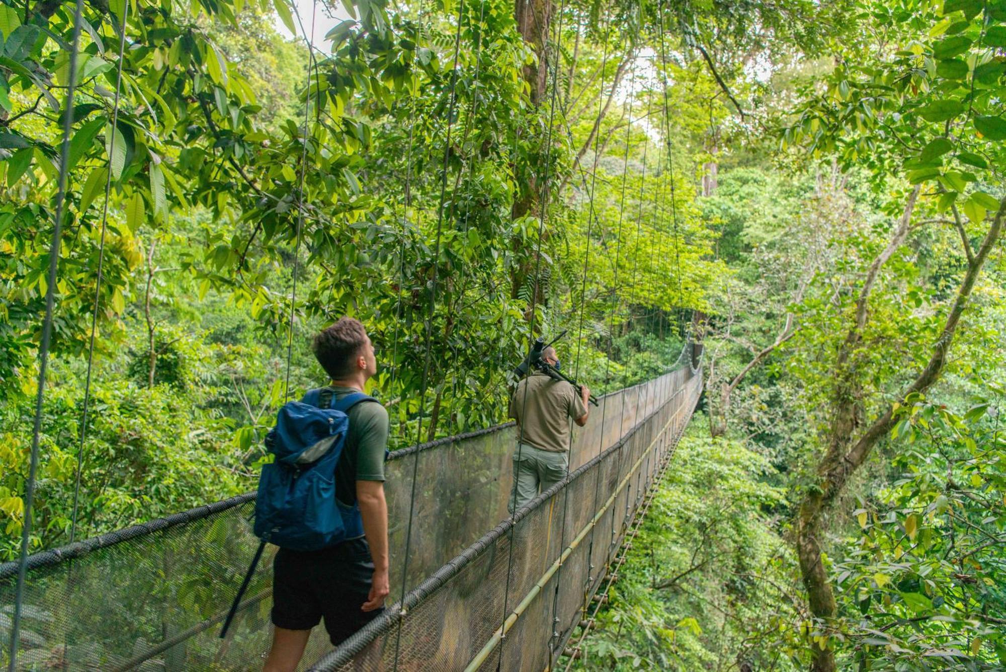 El Remanso Rainforest Lodge Puerto Jiménez المظهر الخارجي الصورة