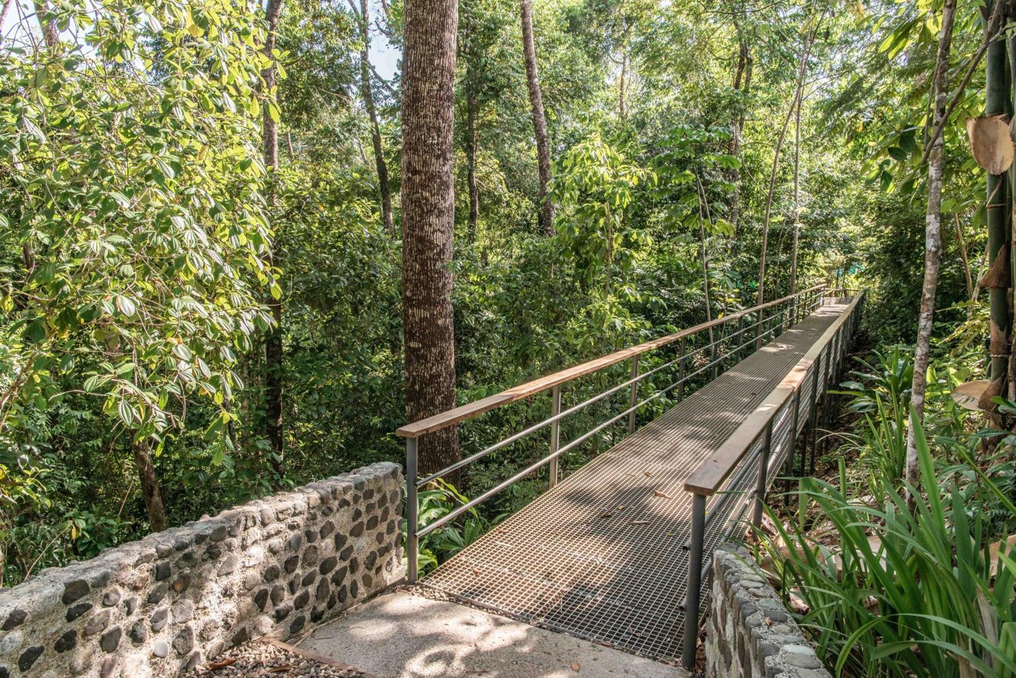 El Remanso Rainforest Lodge Puerto Jiménez المظهر الخارجي الصورة