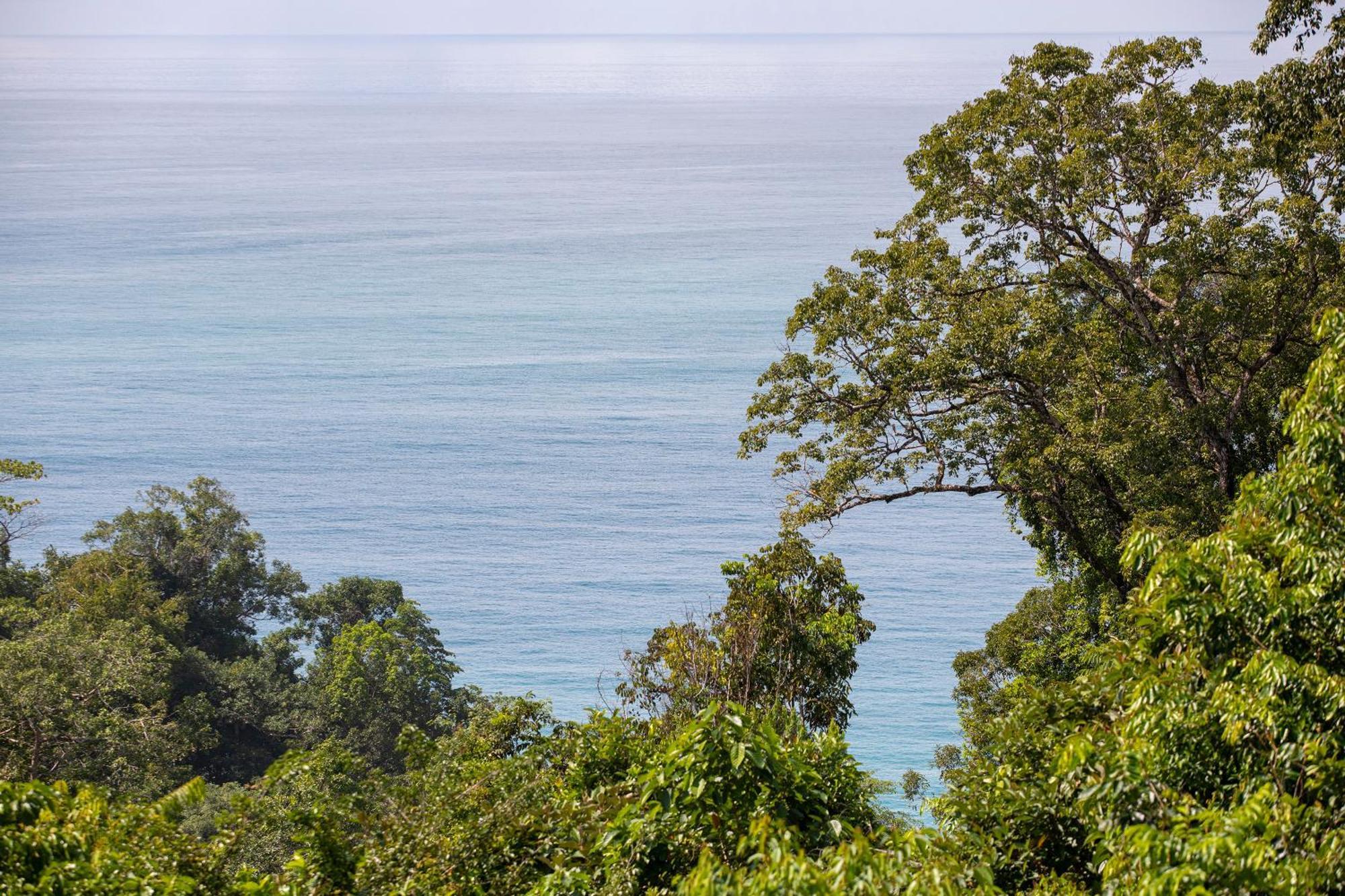 El Remanso Rainforest Lodge Puerto Jiménez المظهر الخارجي الصورة